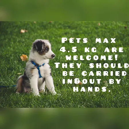 Appartement Dea Pasavan Ravda