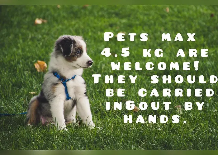 Апартамент Dea Pasavan Равда